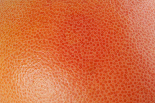 Orange grapefruit background