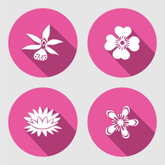 Flower icons set. Anemone, chamomile, forget-me-not, lily, waterlily, orchid. Floral symbol. Round circle flat sign with long shadow. Vector