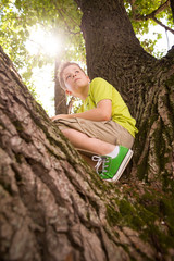 Portrait of cute kid boy sitting on the big old tree on sunny day.  Child climbing a tree. little boy sitting on tree branch. Outdoors. Sunny day. Active boy playing in the garden. Lifestyle concept