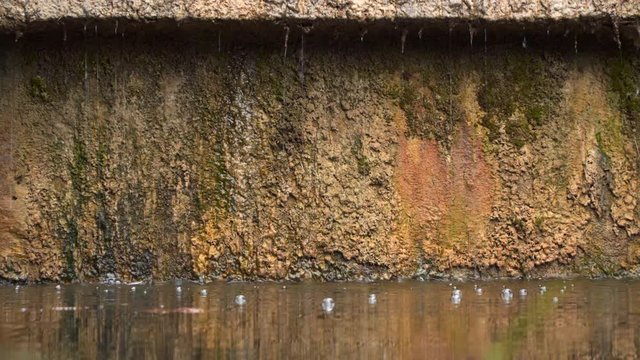 Bubbles in the water formed by flowing streams.