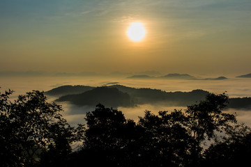 Fototapeta na wymiar the morning in the mist of winter in Phu bo bit ,Loei Thailand