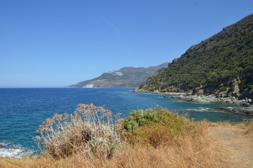 cote du Cap corse