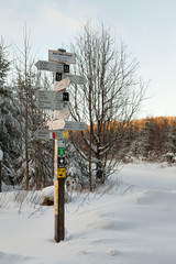 Wegweiser im Schnee