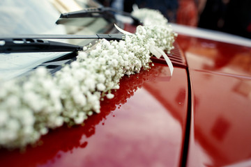 Garland of tiny white daisies lies on car's red hood