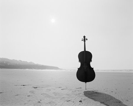 Cello On the Beach