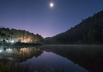 Pine forest light shine with the moon on reservoir at dawn