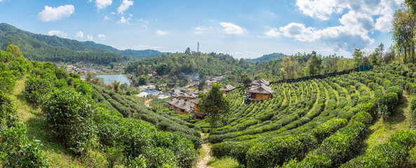 Viewpoint panorama resort lee wine ban rak thai in tea plantatio