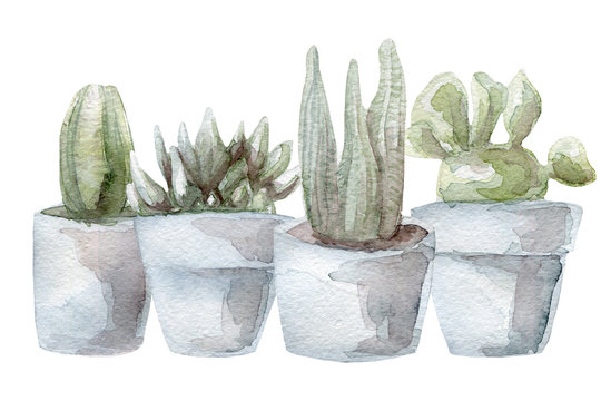 Watercolor cactus and succulent set