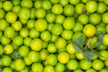 Green plum fruit background