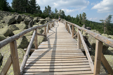 Obraz premium Bridge