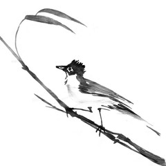 Sumi-e ink bird on a branch. Watercolor painting, black isolated white background.
