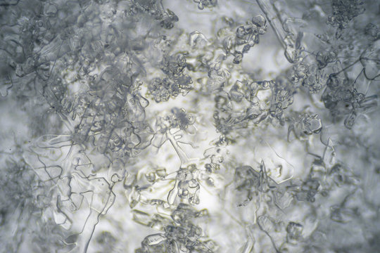 The Microscopic World. Snowflakes under microscope.