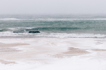 Śnieżysta plaża podczas opadu śniegu, seascape - 133659629