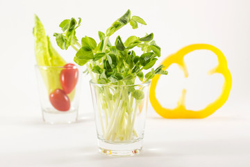 Organic green young sunflower sprouts in shot glass with vegetables in background. (depth of field shot)