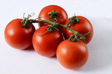 Tomatoes on white background