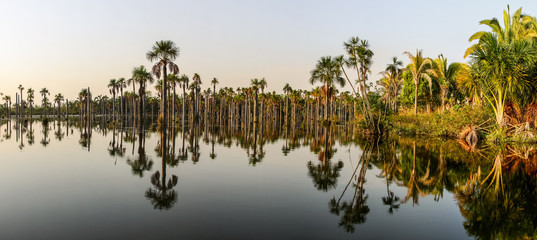 Panorama Lagoa das Araras, Mato Grosso, Brazil © Uwe Bergwitz