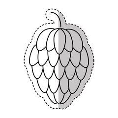 floral decorative isolated icon vector illustration design