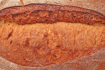 fresh baked bread crust