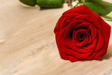 1 red rose lying on a wooden table