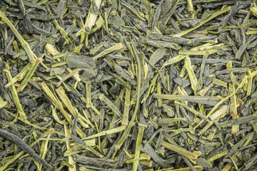 Iccha Kariban green tea background