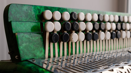 green button accordion. closeup