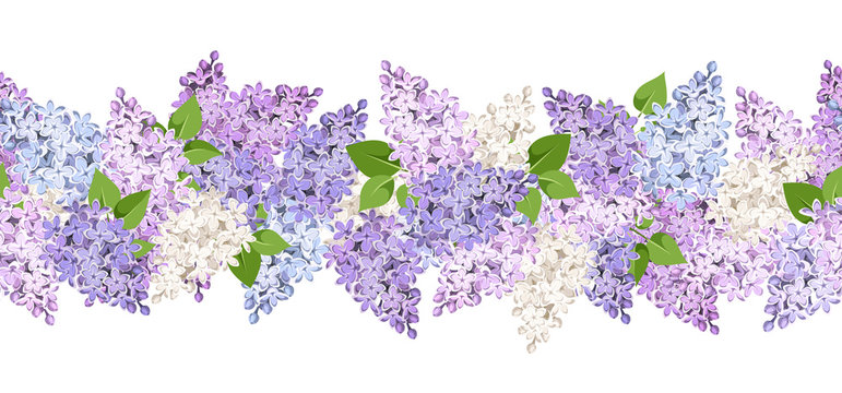 Vector horizontal seamless background with lilac flowers.