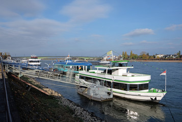 Fototapeta premium Bonn am Rheinufer