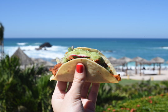 Person holding taco outdoors in summer