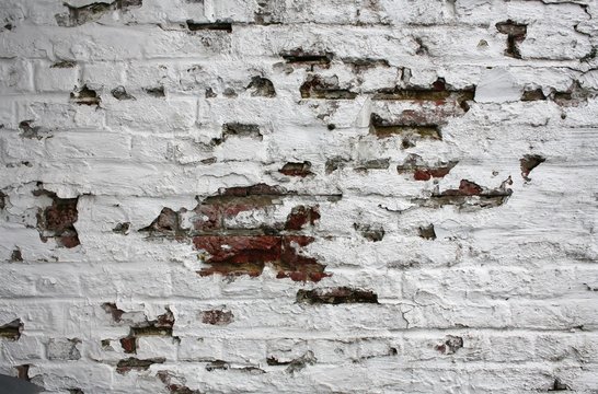 Old brick wall with blathering white paint.