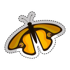 cute butterfly isolated icon vector illustration design