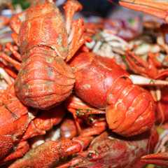 Red boiled crayfish on plate,  background with food