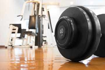 dumbbell in the gym