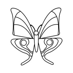 cute butterfly isolated icon vector illustration design