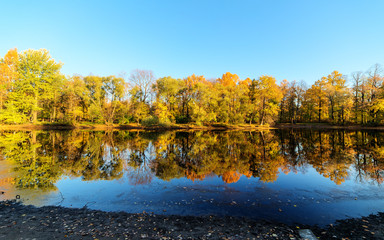 autumn landscape with reflections