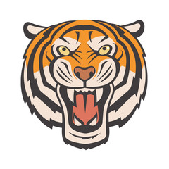 Image of angry tiger head. Vector illustration