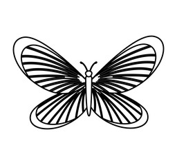 cute butterfly isolated icon vector illustration design