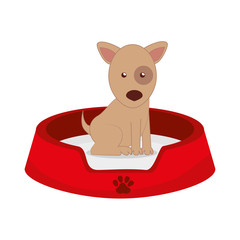 cute dog isolated icon vector illustration design