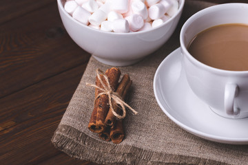 Fototapeta na wymiar Close-up retro toned image of Cup of hot coffee or cocoa, cinnamon 