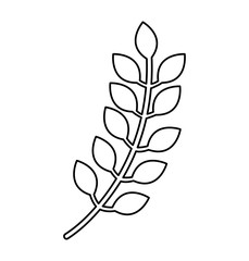 leaf plant decorative icon vector illustration design