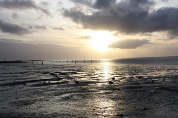 strahlendes Wattenmeer