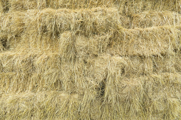 abstract background texture of straw