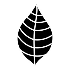 leaf plant decorative icon vector illustration design