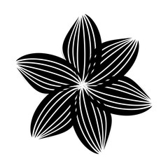 cute flower isolated icon vector illustration design