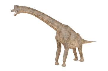 Brachiosaurus dinosaur isolated on white background, 3D rendering