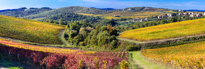 Vast colorful vineyards of Tuscany. Famous wine region Chianti