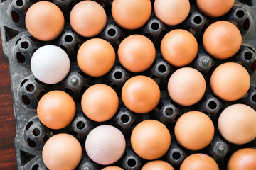 Eggs on tray