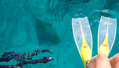 flippers above water surface © chechotkin