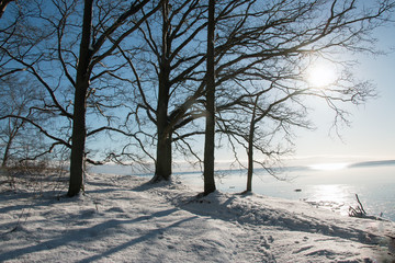 Winter an der Ostsee mit Schnee im Sonnenschein