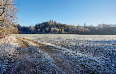 Winter frozen countryside dirt road with frozen field trees and grass
