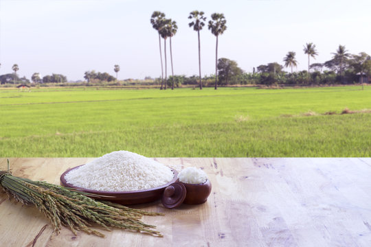 Thai jasmine rice and green field